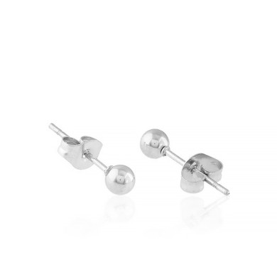 Stainless Steel Earings