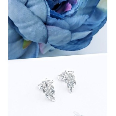 Silver (925) earrings