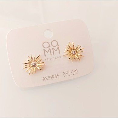 Stainless Steel Earings