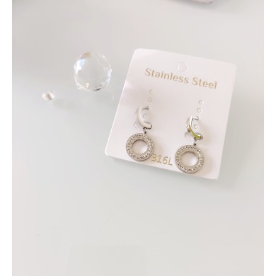 Stainless steel earrings