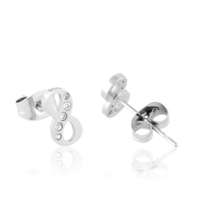 Stainless steel earrings